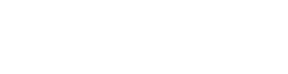logo 2 (white)